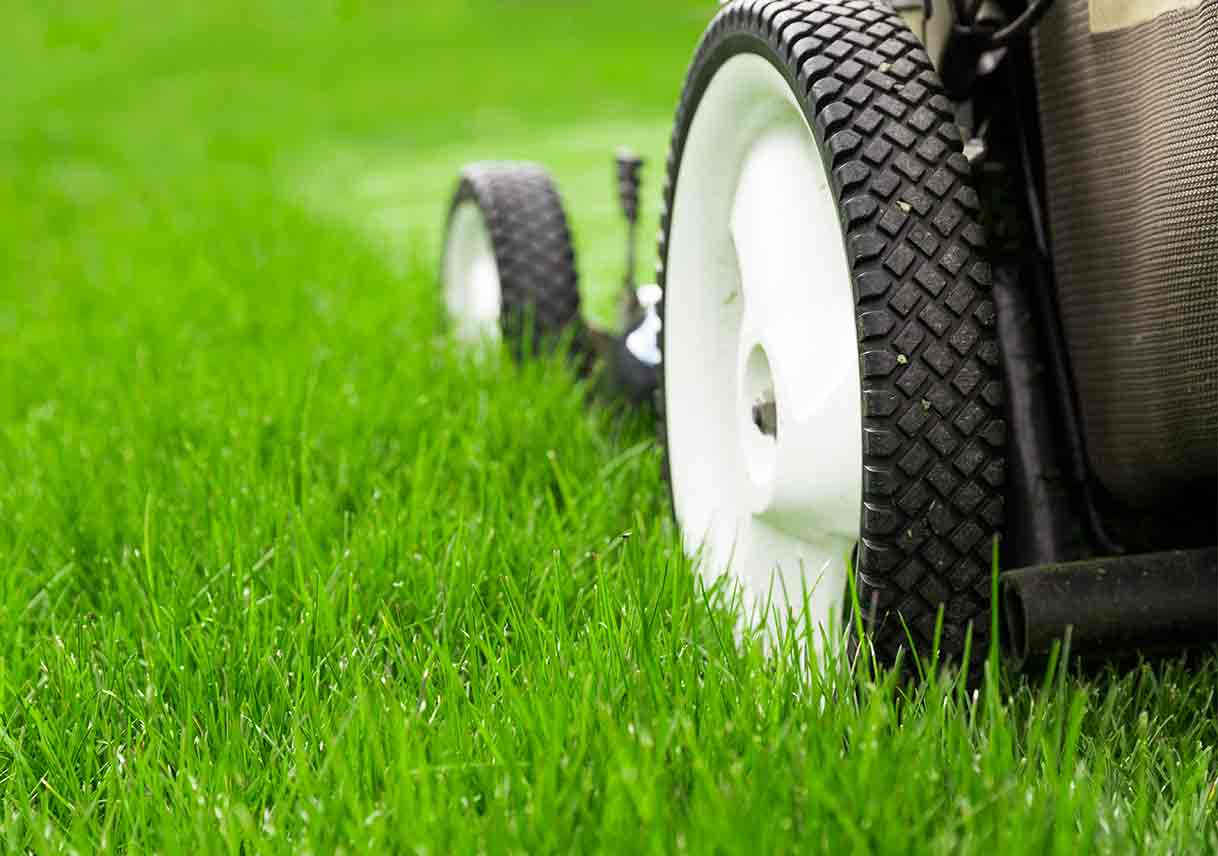 Meet the Best Guy Mowing Lawn in Your Neighborhood